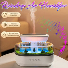 Rain Cloud Humidifier